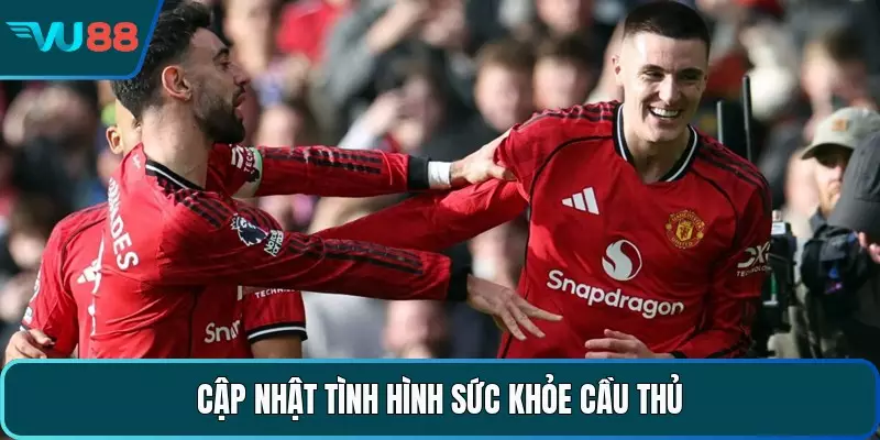Cập nhật tình hình sức khỏe cầu thủ