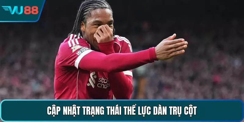 Cập nhật trạng thái thể lực dàn trụ cột
